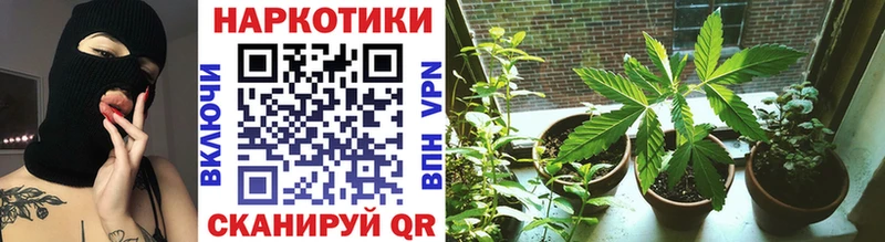 Названия наркотиков Бежецк АМФ  COCAIN  Мефедрон  Псилоцибиновые грибы  Гашиш 