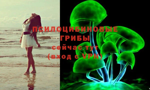 прущие крисы Баксан