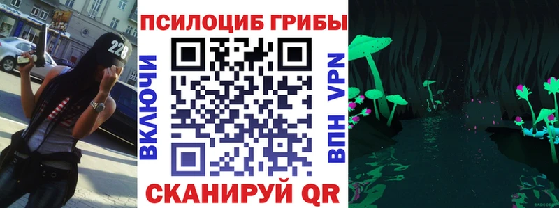 купить закладку  Бежецк  мега tor  Псилоцибиновые грибы мухоморы 
