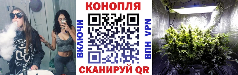где можно купить наркотик  Бежецк  Бошки марихуана THC 21% 